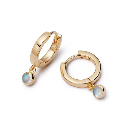 Small Hoop Earrings